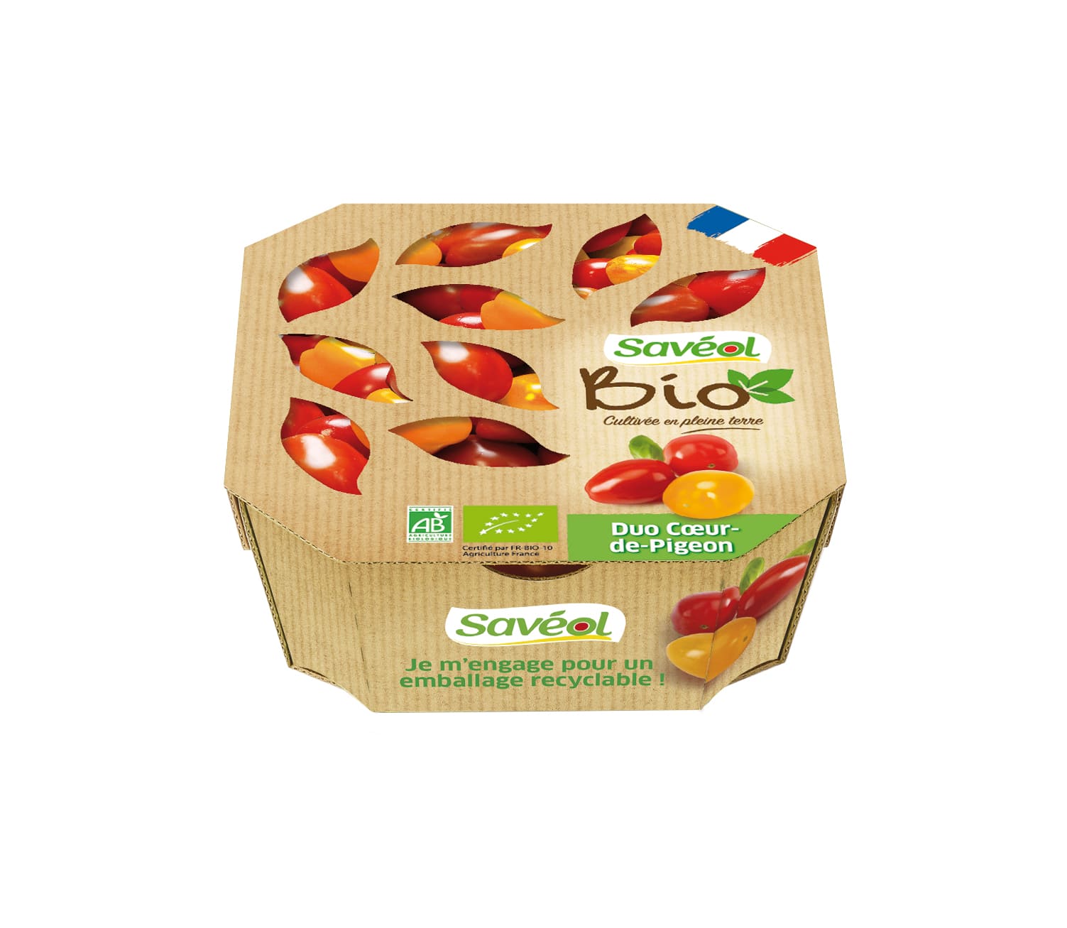 Tomate Coeur-de-pigeon orange BIO | Saveol